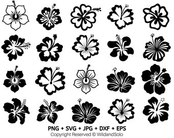 Paquete de 20 flores de hibisco hawaianas SVG, flores hawaianas SVG, imágenes prediseñadas de flores, flores tropicales SVG, archivos de corte Cricut, silueta, flores PNG