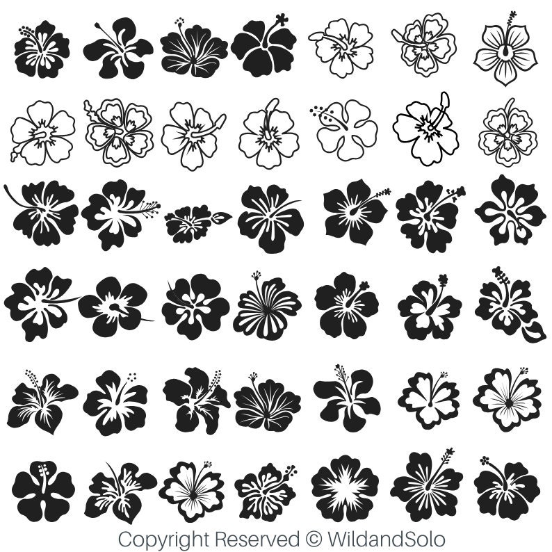 80 Hawaii Hibiscus Flower Svg Bundle, Tropical Flower Svg, Cricut Cut ...