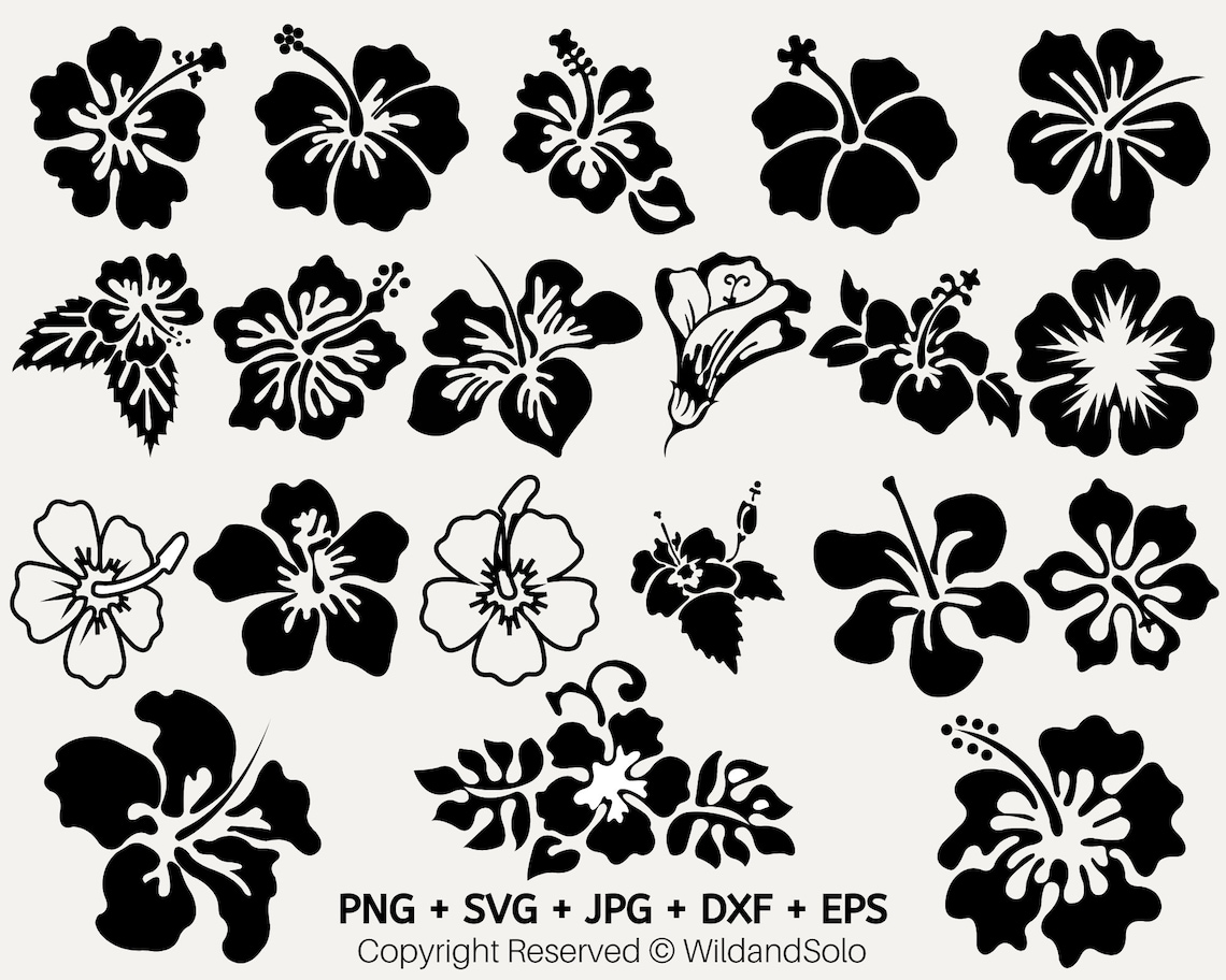 20 Hawaii Hibiscus Flower Svg Bundle, Flowers Clipart, Hawaiian Flower ...