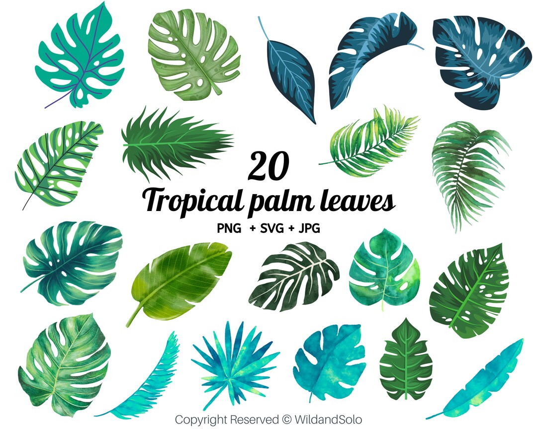 Tropical Palm Leaf Svg Palm Branch Svg Palm Leaf Svg Etsy