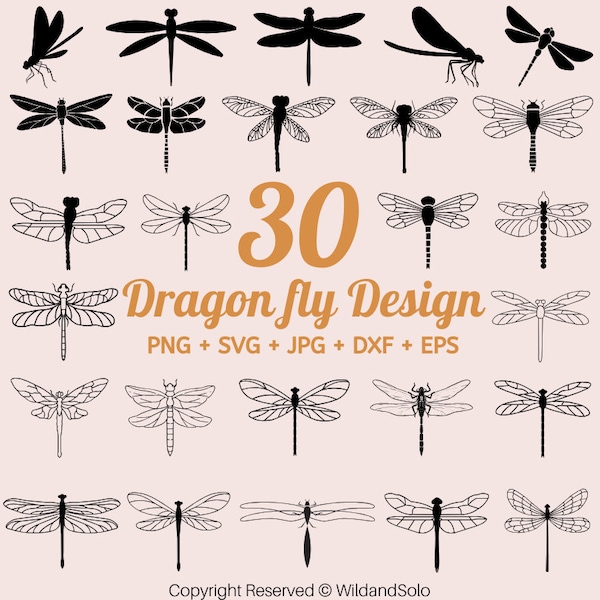 30 Dragon Fly Svg Bundle, Dragonfly Vector, wings cut file, Insect svg, Dragonfly SVG, libelle svg, flying insects png, Digital Download