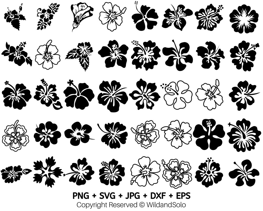 40 Hawaii Hibiscus Flower Svg Bundle, Flowers Clipart, Tropical Flower ...