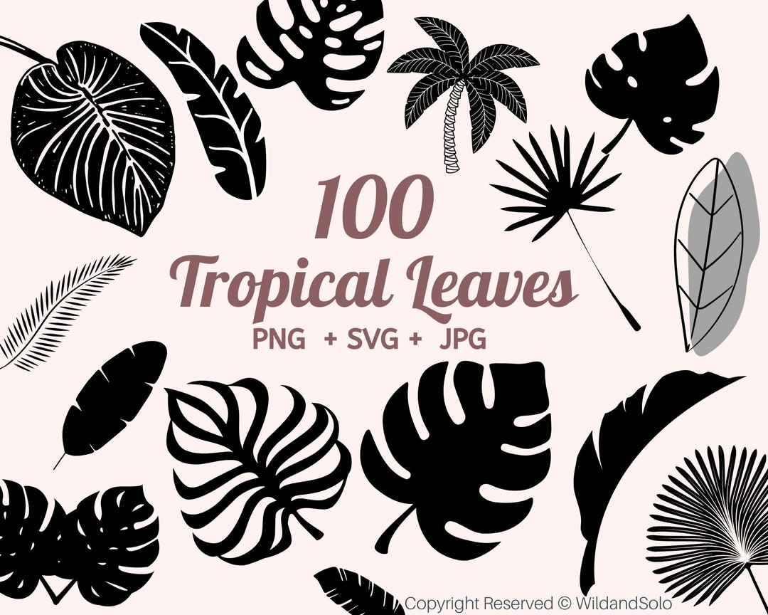 Tropical Palm Leaf Svg, Monstera Leaf Svg Clipart, Tropical Leaves Svg ...