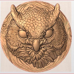 May include: A detailed wooden carving of an owl's face, featuring intricate feather and facial details. The owl is centered on a circular wooden plaque with a wood grain pattern. The carving is in shades of brown and tan.