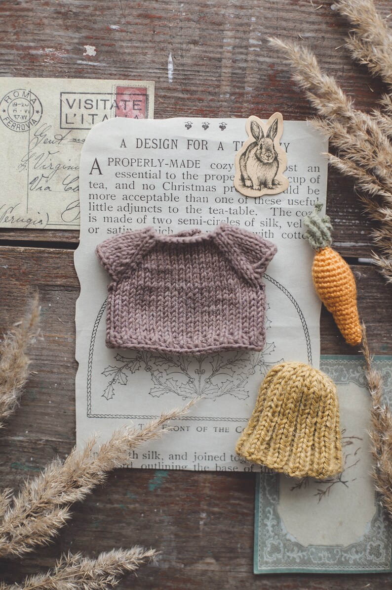 Conjunto para conejito. Camiseta de punto, gorro y zanahoria de crochet para conejito. imagen 3