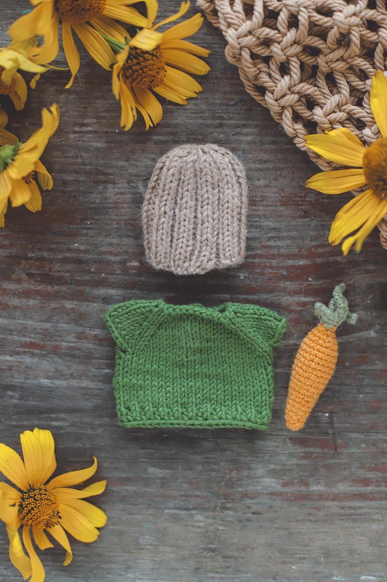 Puede incluir: Un conjunto de ropa de beb&eacute; de punto, que incluye un jersey verde, un gorro beige y una zanahoria naranja de ganchillo. Los art&iacute;culos est&aacute;n dispuestos sobre una superficie de madera con girasoles.