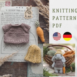 Outfit for bunny.  Knitted T-shirt, hat and crochet carrot for little bunny.