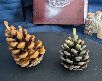 Pine cone candle