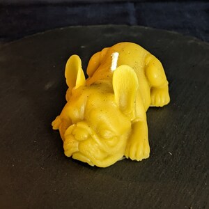Bulldog candle