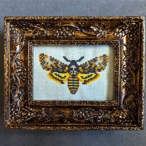 Könnte beinhalten: Ein gerahmtes Kreuzstichbild eines gelben und schwarzen Nachtfalters mit braunen und weißen Flügeln. Der Rahmen ist verziert und goldfarben.