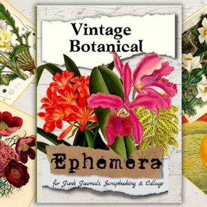 Vintage Botanical Ephemera Printable for Junk Journals, Collage, Card Making,  Decoupage & Paper Crafts. 20 Sheets, 70+ Images