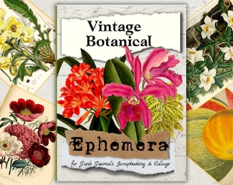 Vintage Botanical Ephemera: 70+ Images for Junk Journals (Digital Download)