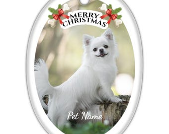 Personalized Pet Oval Hanging Ornament - Custom Pet Photo Ornament - Christmas Tree Decoration - Dog Ornament