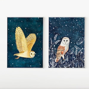 Set di 2 stampe di gufi, illustrazioni di gufi, dipinti di barbagianni, stampe di animali della foresta, stampe di gufi, poster del cielo notturno