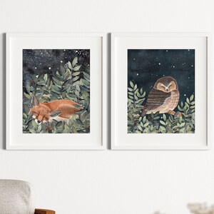 May include: Two framed illustrations of woodland animals. The first shows a fox sleeping in a bed of green leaves under a starry night sky. The second shows an owl perched on a branch with its wings folded, also under a starry night sky.