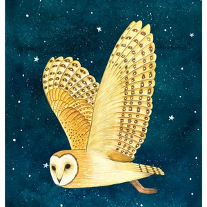 Barn Owl in the Starry Sky Wall Art, Night Owl Artwork, Nocturnal Bird ...