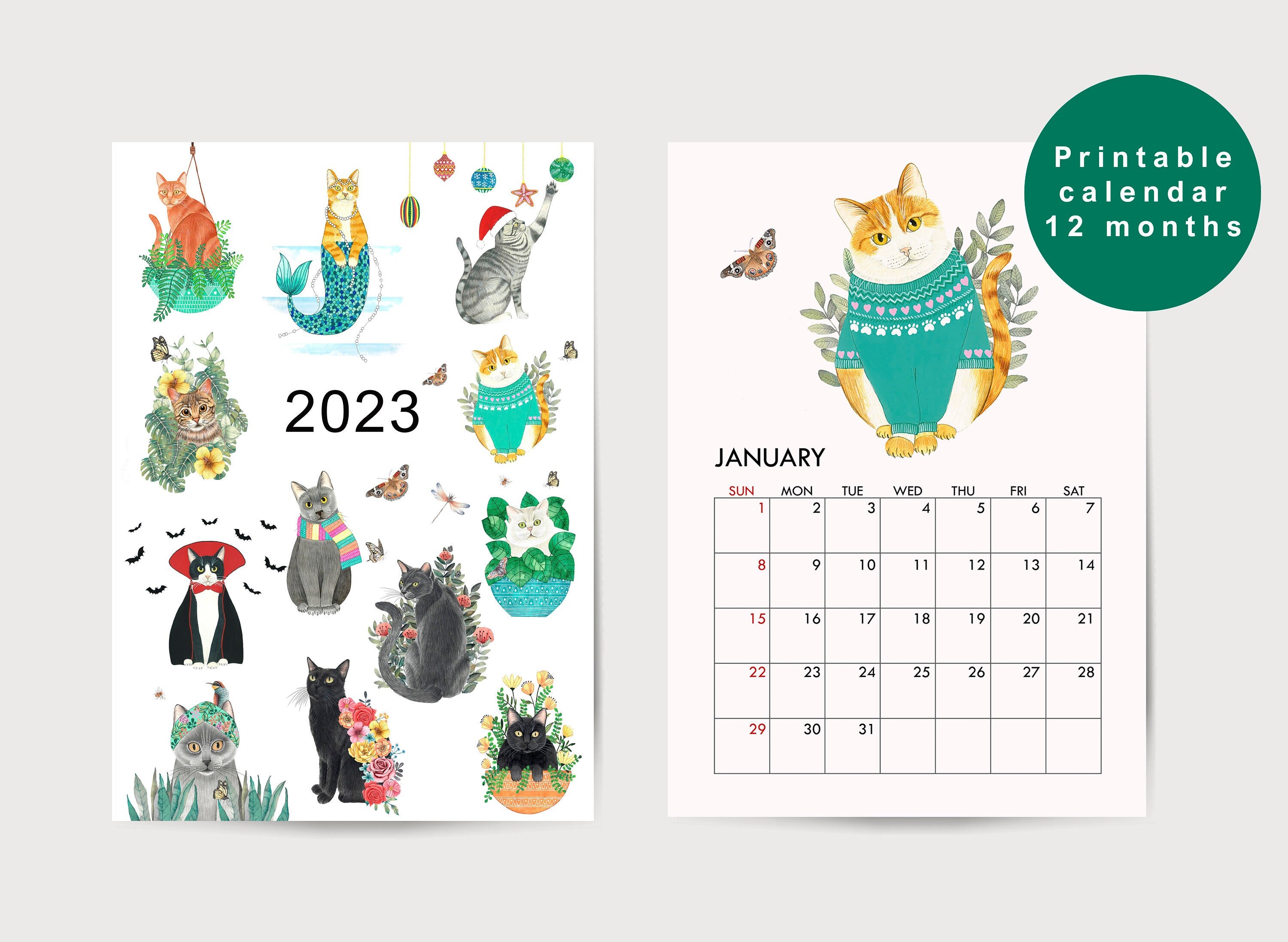 Cat Calendar 2023 Printable 12 Month Calendar Monthly - Etsy
