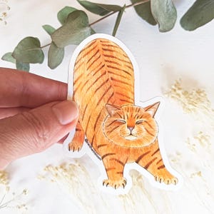 Peut inclure: Un autocollant découpé représentant une illustration dessinée à la main d'un chat tigré orange qui s'étire les yeux fermés. Le chat a des rayures orange foncé, un museau blanc et le texte @pantherinbloom imprimé en petites lettres noires.