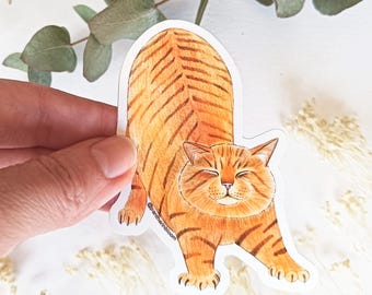 Orange Cat Sticker, Whimsical Kitten Art, Waterproof Vinyl Illustration (3.14 x 2.36 inches)