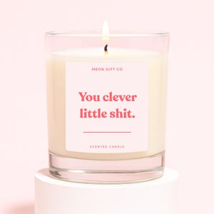 Peut inclure: Une bougie parfum&eacute;e allum&eacute;e dans un pot en verre transparent. La bougie a une cire blanche et une &eacute;tiquette rose avec le texte "You clever little shit." L'&eacute;tiquette comprend &eacute;galement le texte "MEON GIFT CO" et "SCENTED CANDLE."