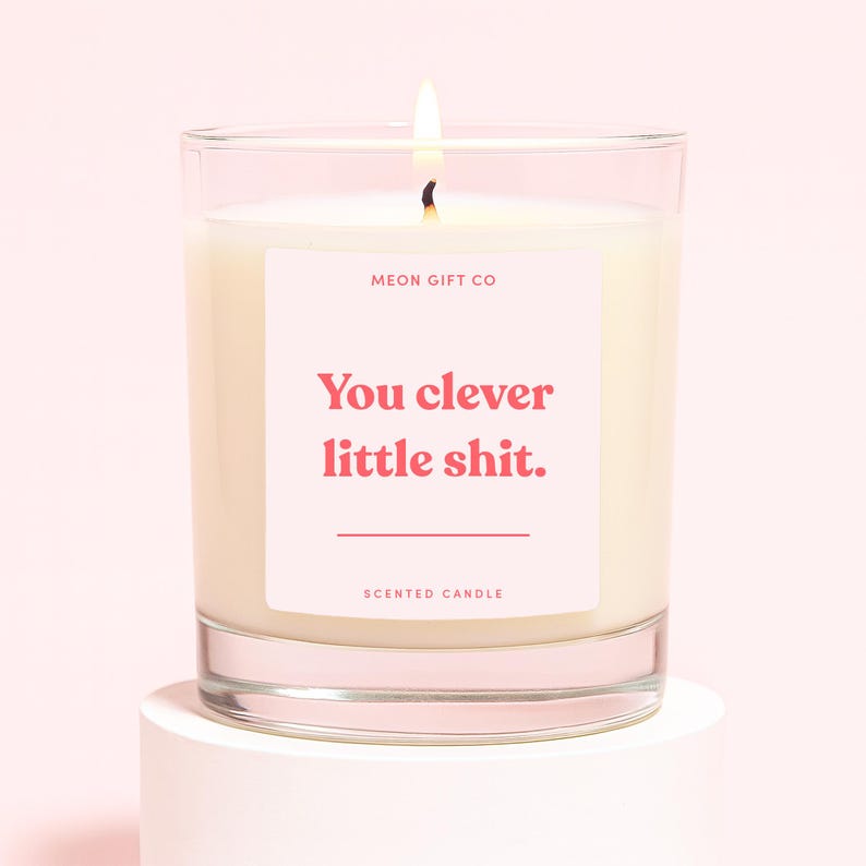 Peut inclure: Une bougie parfum&eacute;e allum&eacute;e dans un pot en verre transparent. La bougie a une cire blanche et une &eacute;tiquette rose avec le texte "You clever little shit." L'&eacute;tiquette comprend &eacute;galement le texte "MEON GIFT CO" et "SCENTED CANDLE."