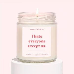 Best Friend Candle | Funny Birthday Candle Gift For Best Friend | Scented Candle For Her | I Hate Everyone Except Us Candle