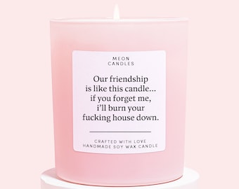 Friendship Candle For Friend | Funny Candles For Her | Our Friendship Is Like This Candle Gift | Best Friend | Rude