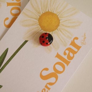 Könnte beinhalten: Ein rot-schwarzes, marienkäferförmiges Dekorationsobjekt liegt auf einer weißen Karte mit einer Gänseblümchen-Illustration. Die Karte trägt auch den Text "Atelier Solar Berlin" in Orange. Der Marienkäfer ist ein kleines, rundes Objekt mit schwarzen Punkten.