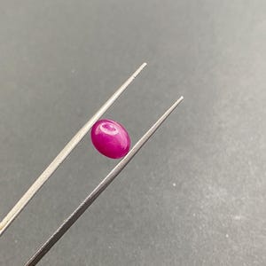 May include: A polished, oval ruby gemstone, held by silver tweezers. The ruby is a rich, pinkish-red hue. The tweezers provide a contrasting backdrop to the gemstone. The gemstone's smooth surface reflects light.
