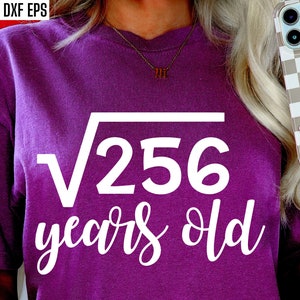 16. Geburtstag Shirt | Sweet Sixteen Pngs | Meilenstein Geburtstag | Wurzel-Geburtstag | Bday Cut Dateien | Geburtstag Tshirt Designs