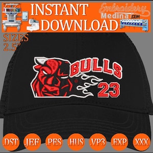 Stickmuster für Chicago Bulls-Kappe, Sweatshirt