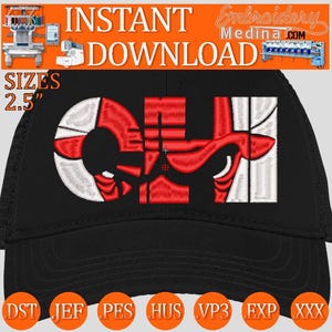 Stickmuster für Chicago Bulls-Kappe