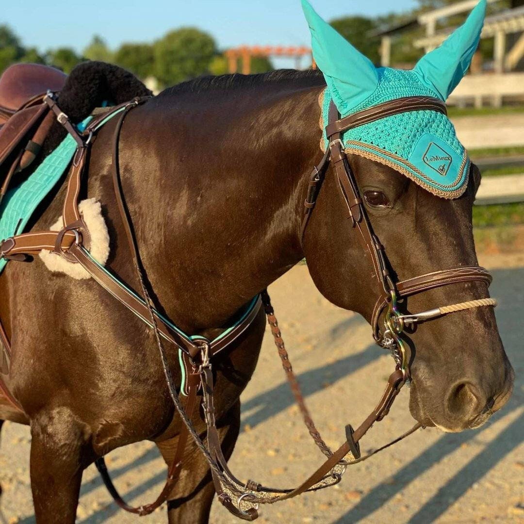 Pre-owned Bridle Saddle Two-way Bag In Brown