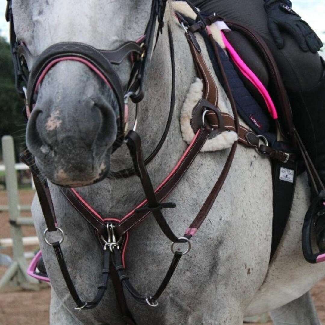 Horse Breastplate Pink Leather Padding Tack Five Point