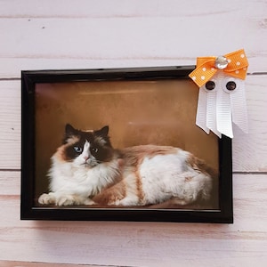 Halloween Picture Frame, Indoor Halloween Decor, Spooky Decor Halloween/ 3.5 by 5 Inch Frame