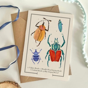 Beetle Greeting Card, Insect Notecard, Beetles Insect Wall Art, Illustration Card, Entomology Themed Card, Garden Themed Card, Blank Card