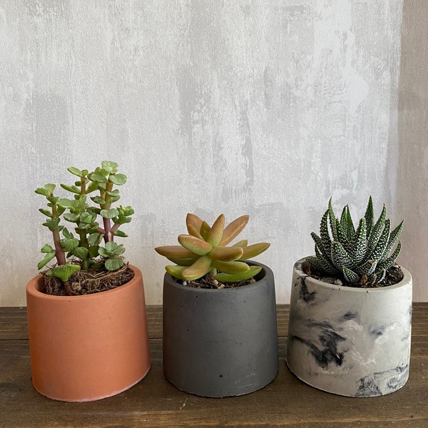 Small concrete planter | Concrete pot | Flower pot | Small pot| Cement plant pot | Small succulent plant | concrete vessels | candle vessels