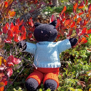 May include: A handmade black cat doll with a light blue sweater and orange pants. The cat has black paws and feet. The doll is set against a backdrop of red and green foliage.