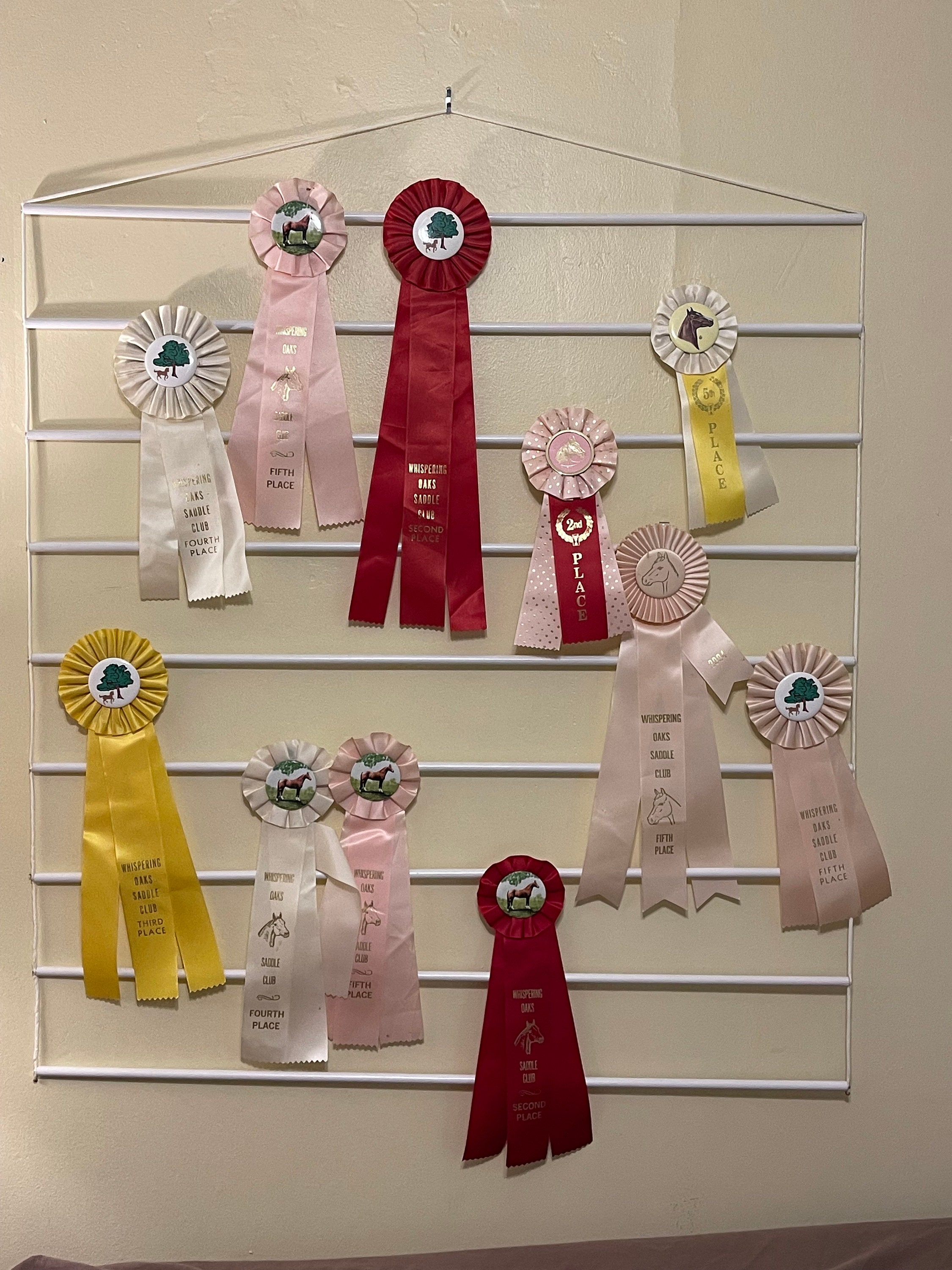 Dog Show Ribbon Holder Dog Awards Ribbon Holder Equestrian Etsy
