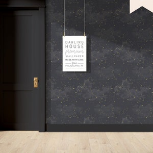 Starry Constellation Black Wallpaper | Premium Removable Peel Stick | Magical Bedroom Bathroom Nursery | Moody Dark Academia Decor | NA014B