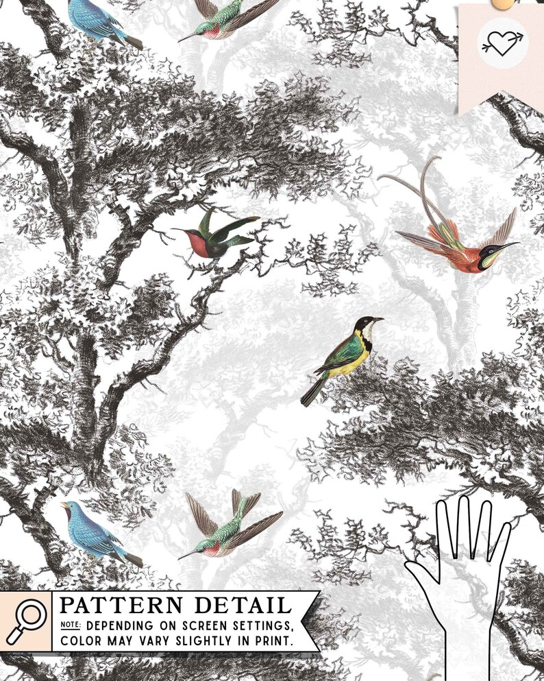 Puede incluir: Una ilustraci&oacute;n en blanco y negro de una escena de bosque con p&aacute;jaros. Los p&aacute;jaros son de varios colores, incluyendo azul, verde, rojo y amarillo. Los &aacute;rboles est&aacute;n dibujados en un estilo detallado, con ramas y hojas.