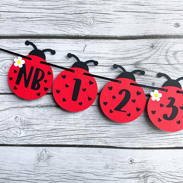 Ladybug Monthly Photo Banner Prop Birthday Decoration