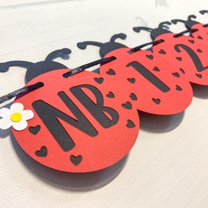 May include: Red and black ladybug-shaped paper cutouts strung together with black ribbon. Each cutout has a black number or the letters "NB" and white hearts. One cutout has a white flower with a yellow center.