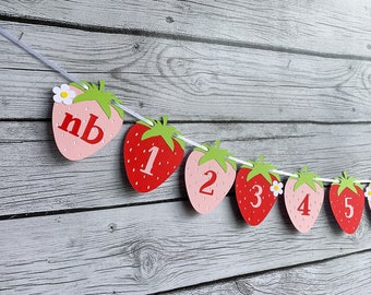 Berry First Birthday Strawberry Monthly Photo Banner Prop Birthday Decoration