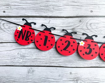 Ladybug Monthly Photo Banner Prop Birthday Decoration