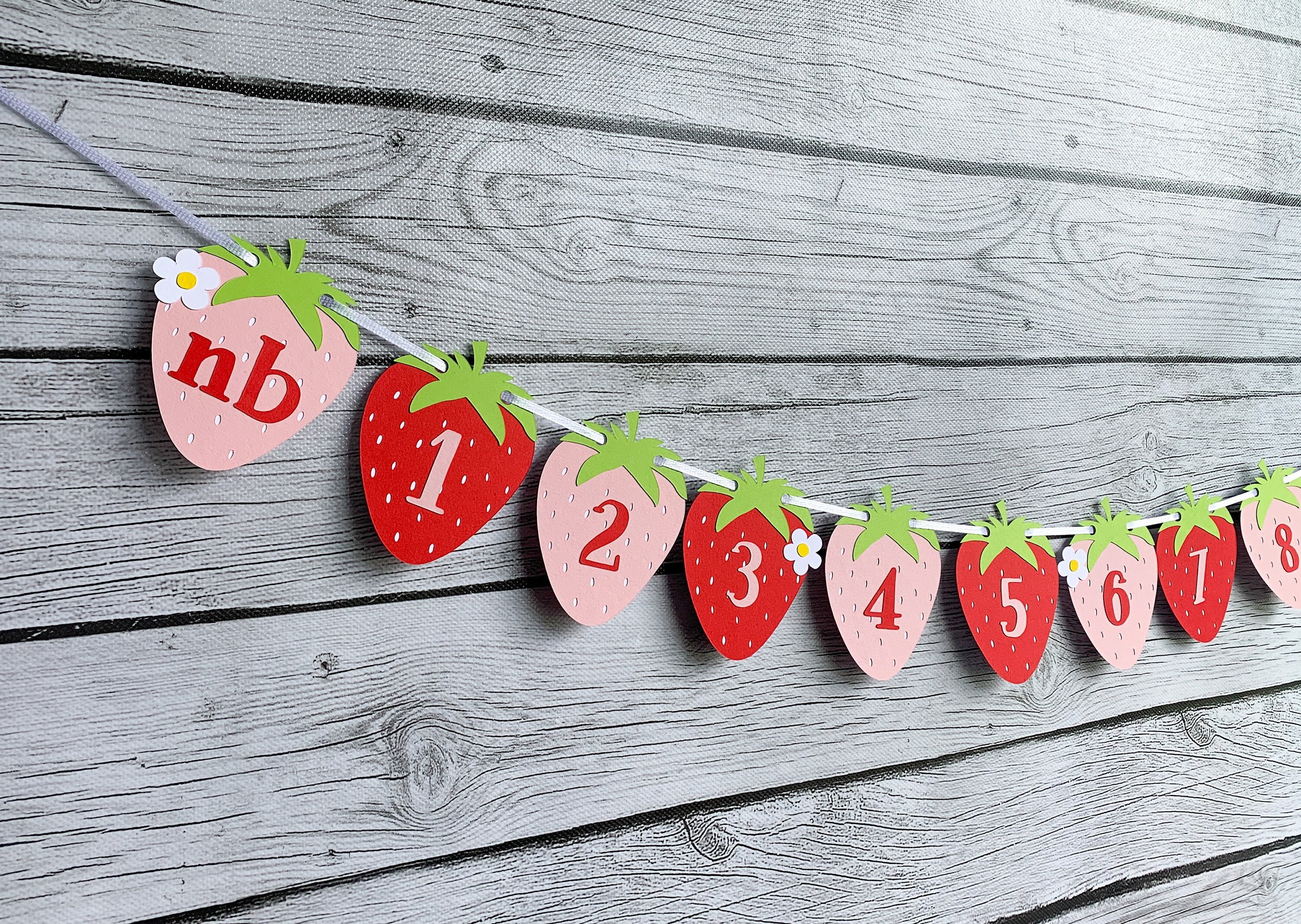 Berry First Birthday Strawberry Monthly Photo Banner Prop Birthday Decoration