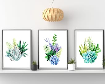 3 Stunning Succulent Prints |  Digital Prints | home Decor| gifts | wall Art | wall decor | plants | succulent | printable | A4 & A3