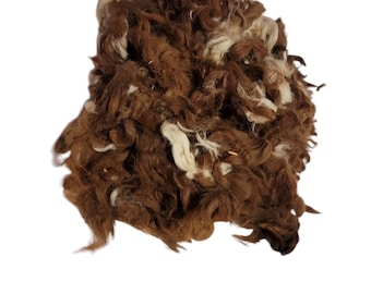 Alpaca Fiber Medium Brown Raw 1 Pound Natural And Unwashed (2nd Cut)