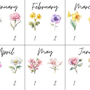 May include: A chart with the months of the year, January through June, with two watercolor flower illustrations for each month.
