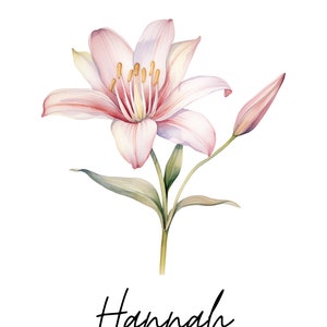 May include: A watercolor painting of a pink lily with a bud, on a white background. The name "Hannah" is written in cursive below the flower.